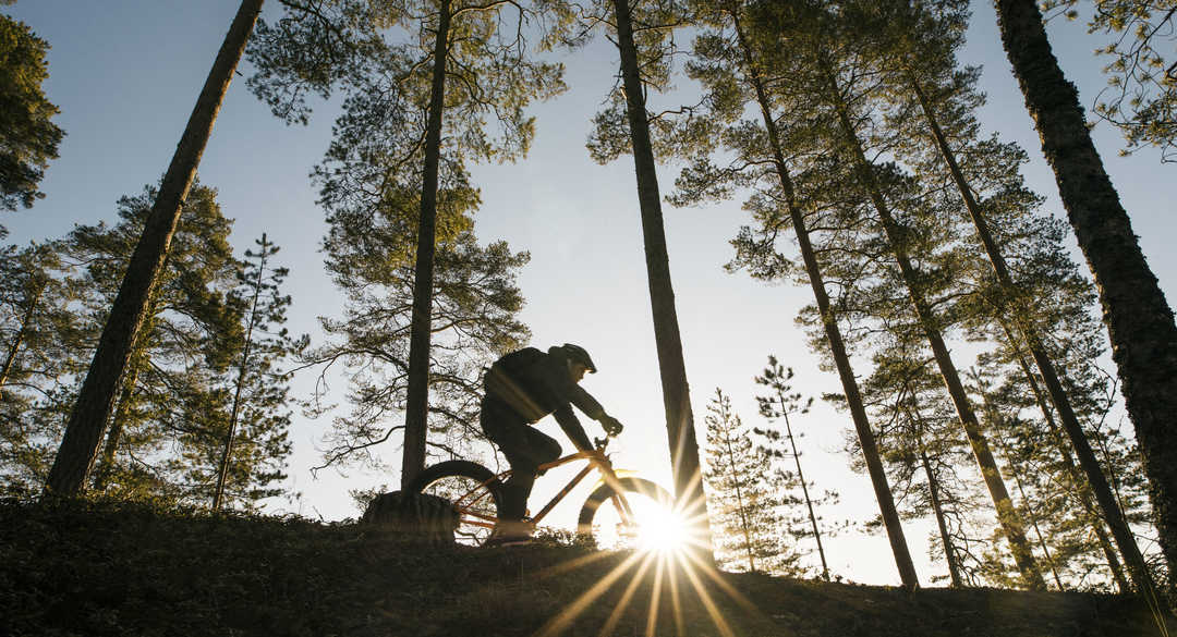 VTT en Finlande l'été