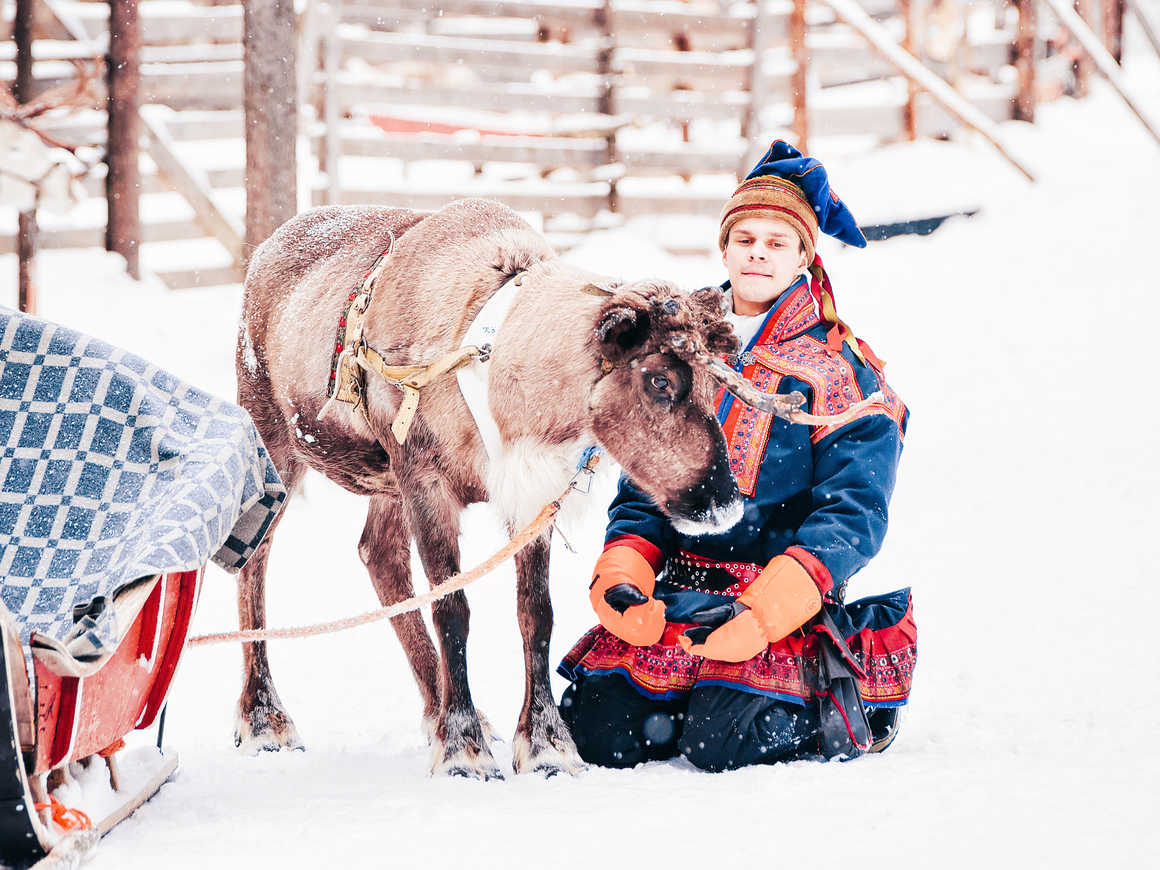 Renne et habitant sami