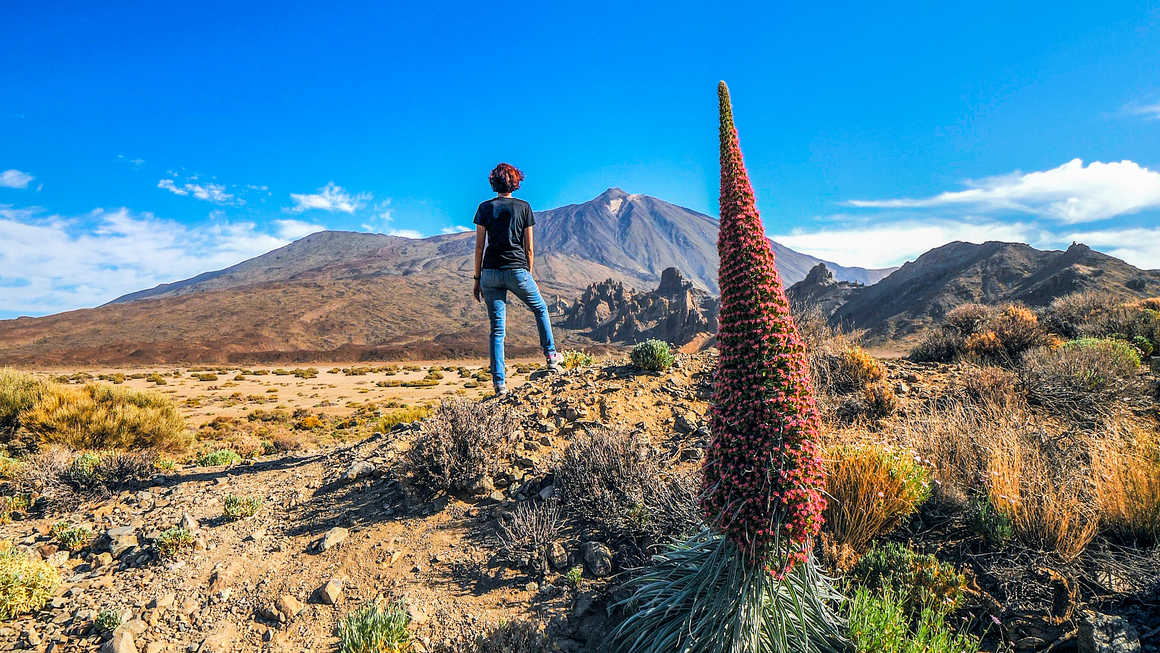 Vue sur le sommet du Teide, Tenerife, Canaries