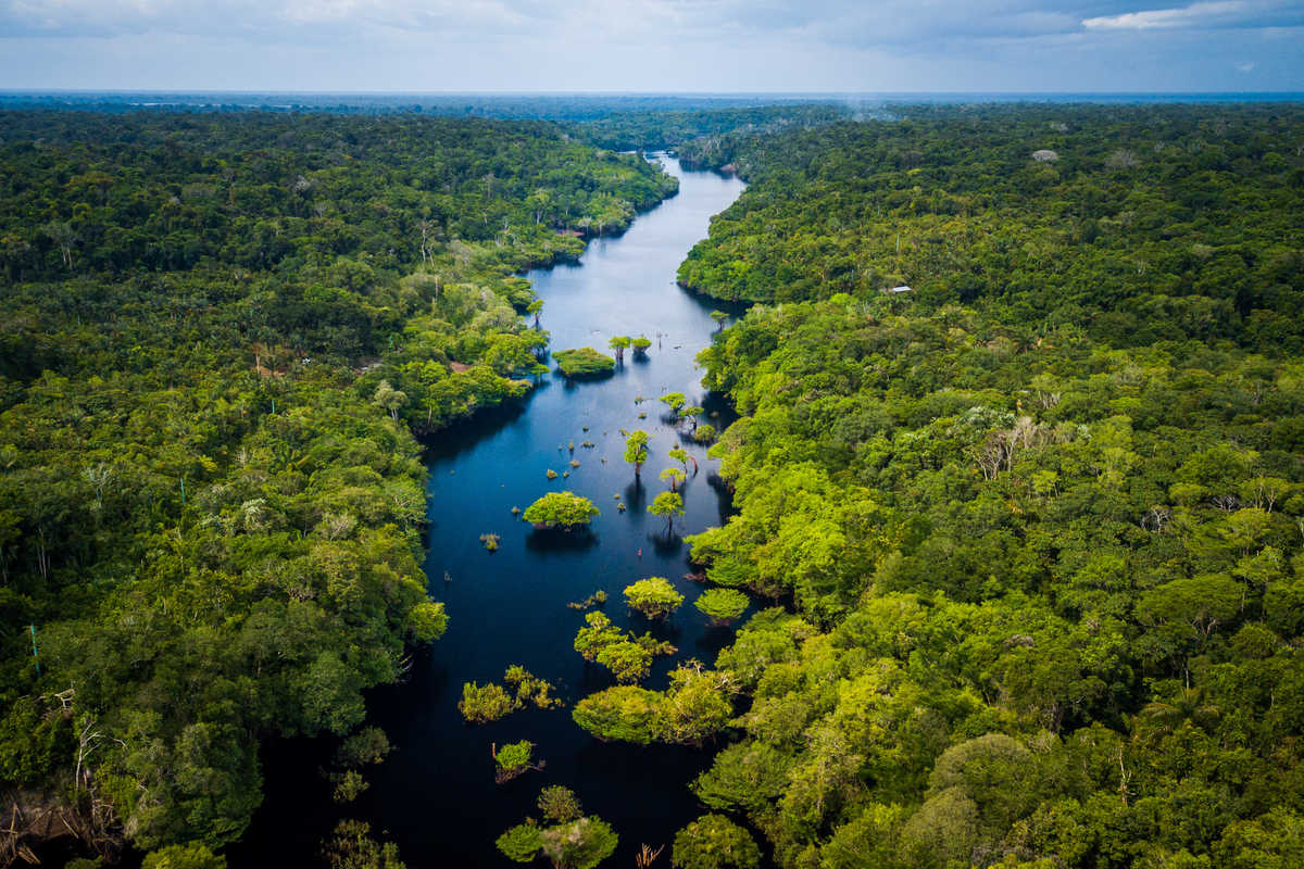 AdobeStock_Amazon Rainforest in Anavilhanas National Park, Amazonas - Brazil