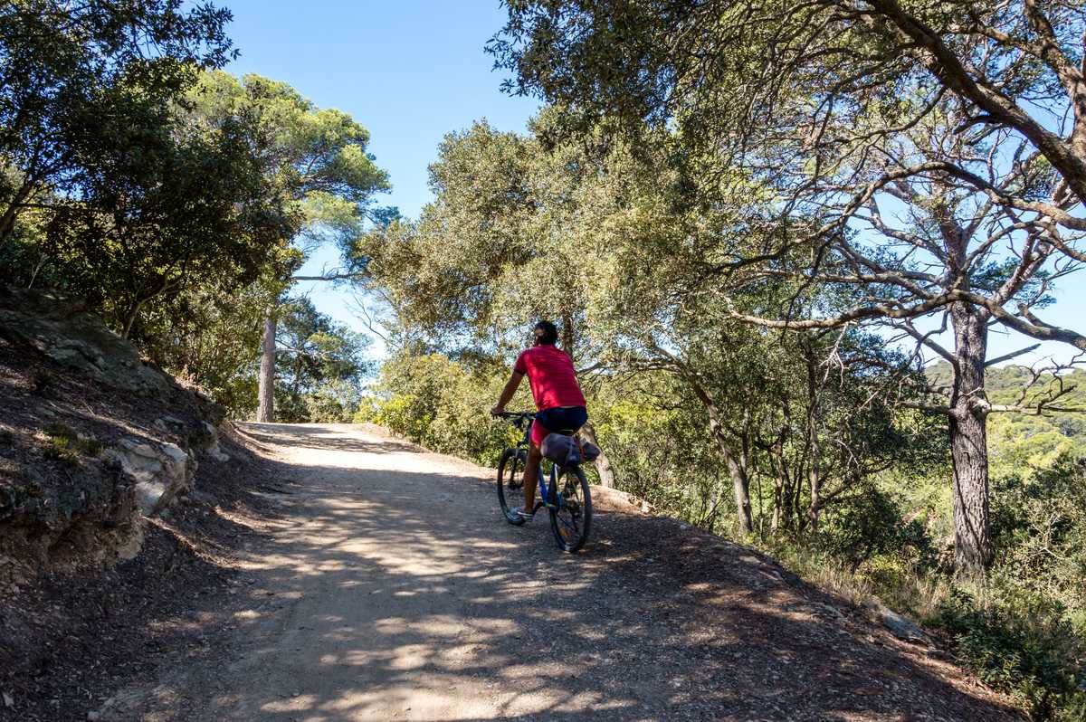 Balade à vélo sur l'île de Porquerolles, Iles d'Hyères, Provence, Méditerranée
