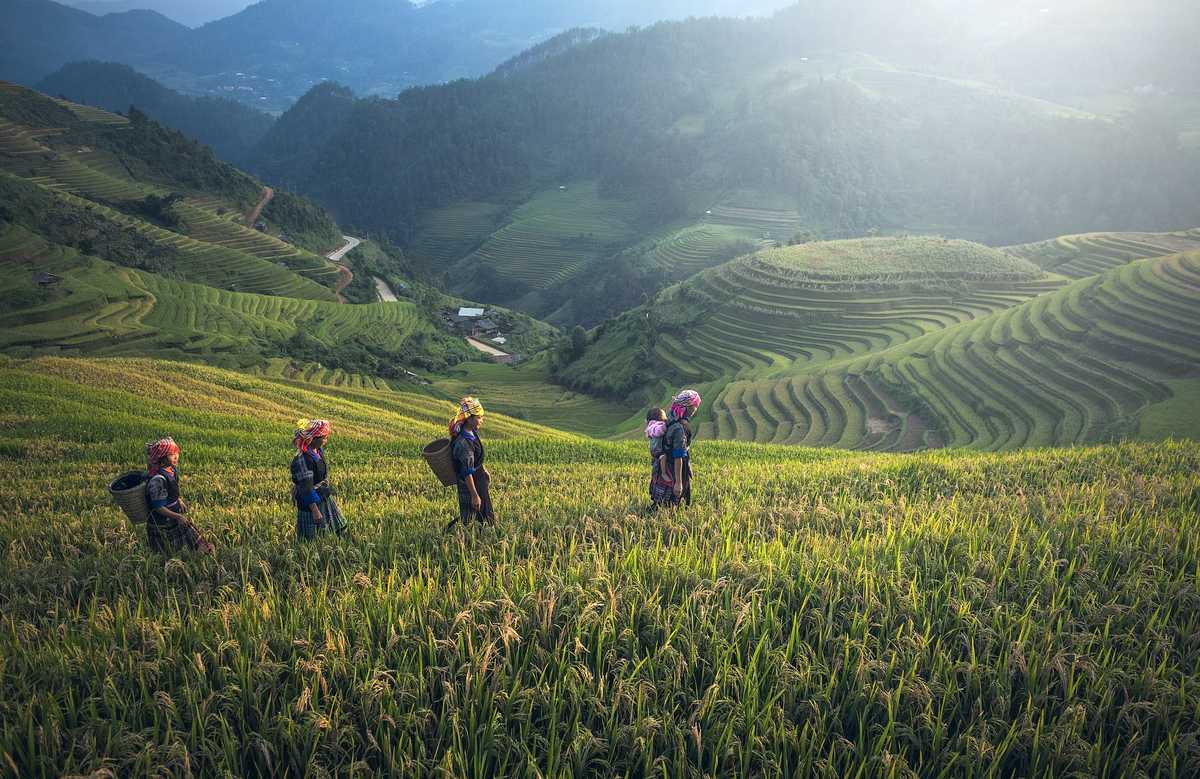 Birmanes qui vont travailler dans un champs