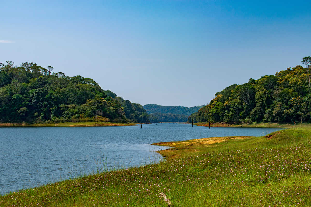 Bord d'un lac du Kerala, Inde