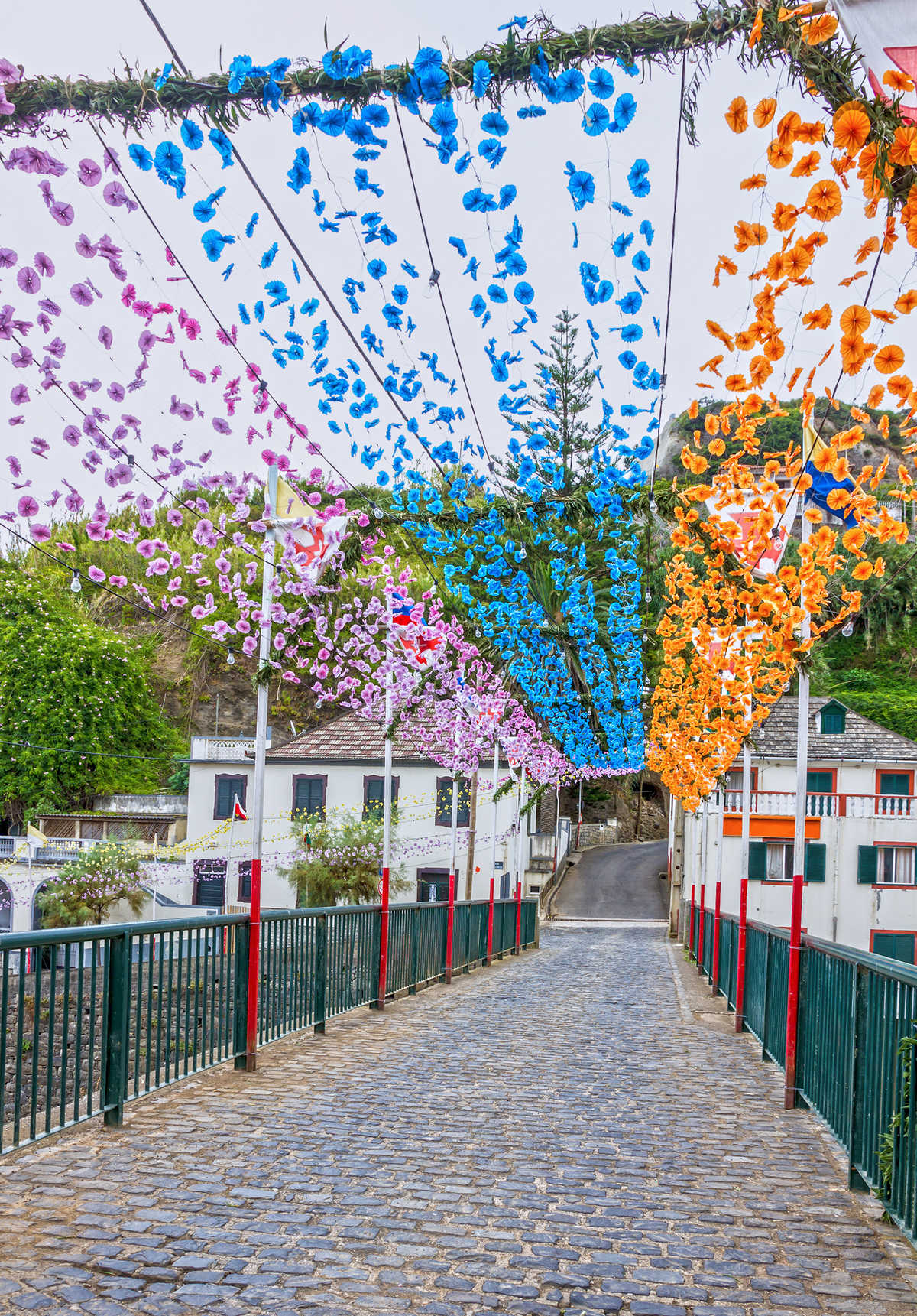Décoration des guirlandes de fleurs durant fête traditionnelle, île de Madère, Portugal © Adobe Stock Décoration des guirlandes de fleurs durant fête traditionnelle, île de Madère, Portugal