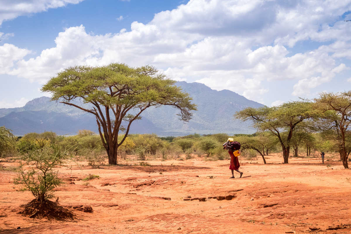 Femme Masai allant chercher de l'eau Tanzanie