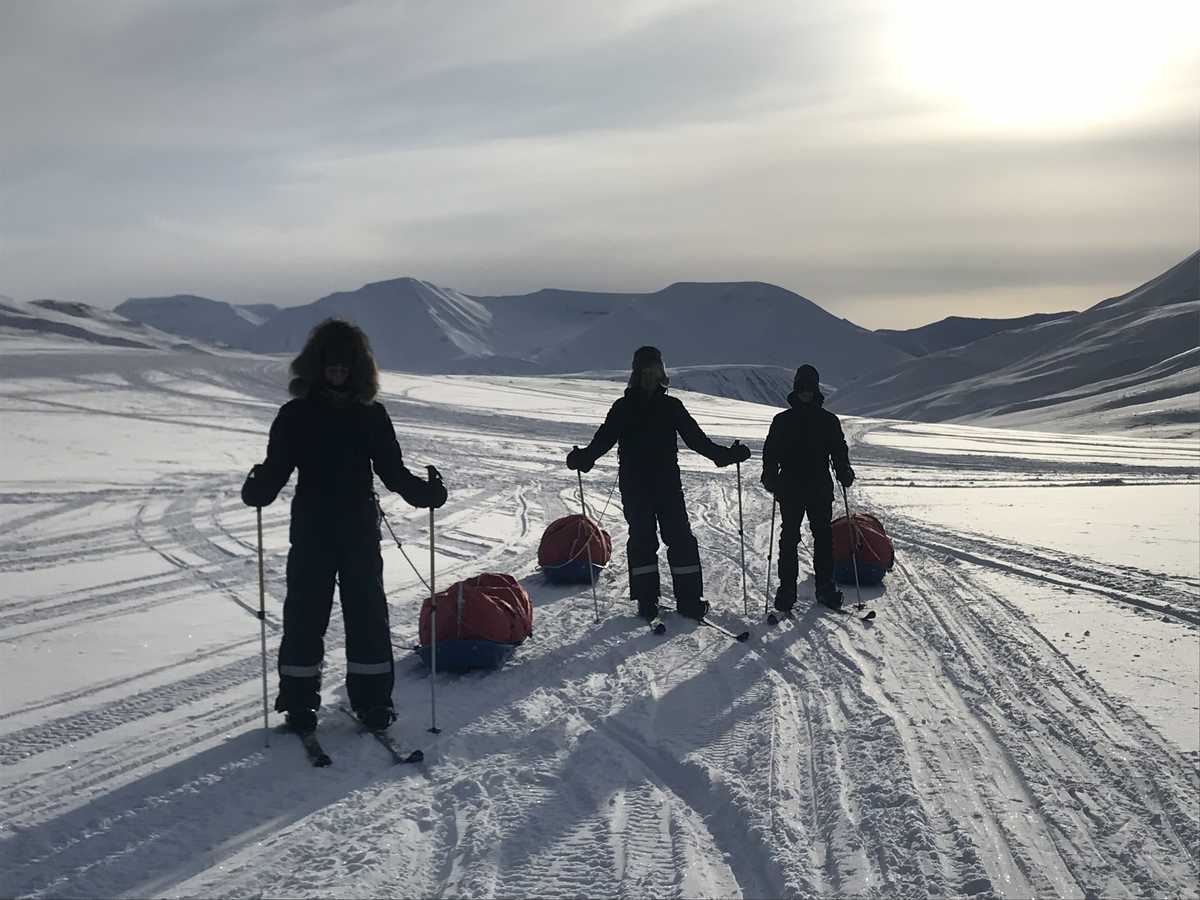 groupe de randonneurs ski pulka au spitzberg