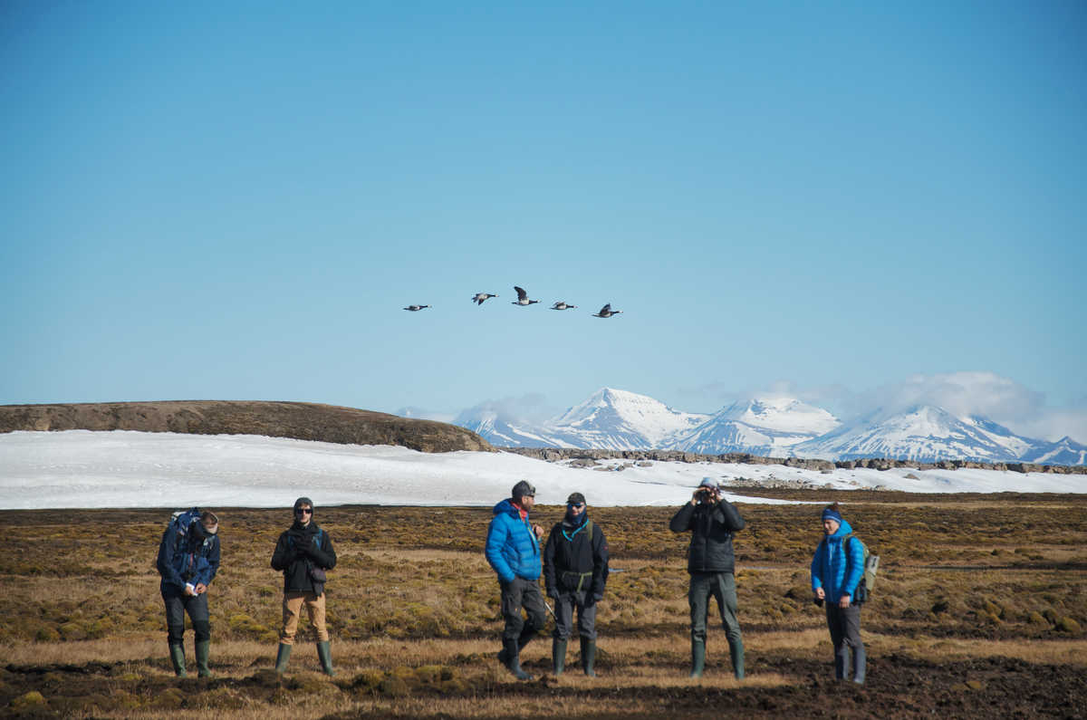 Groupe de voyageurs Spitzberg été avec guide