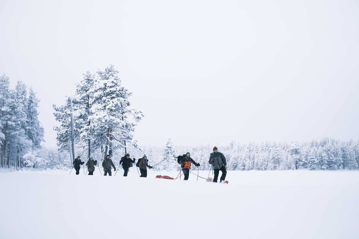 Groupe en randonnée raquettes en Finlande