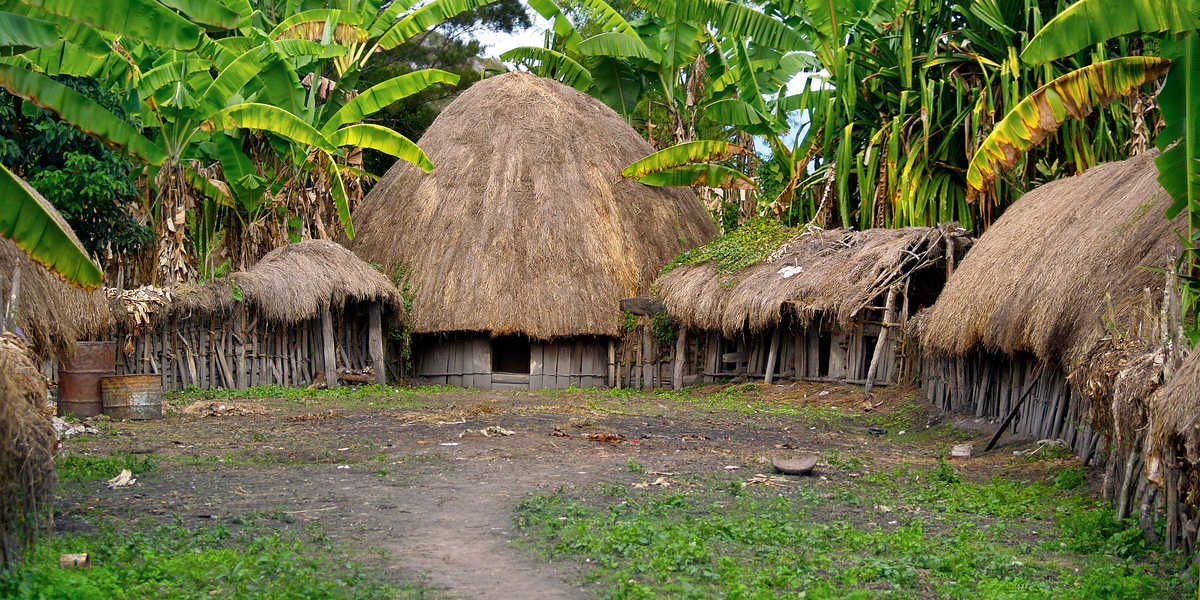 Honai, habitat traditionnel de Papouasie occidentale, Indonésie