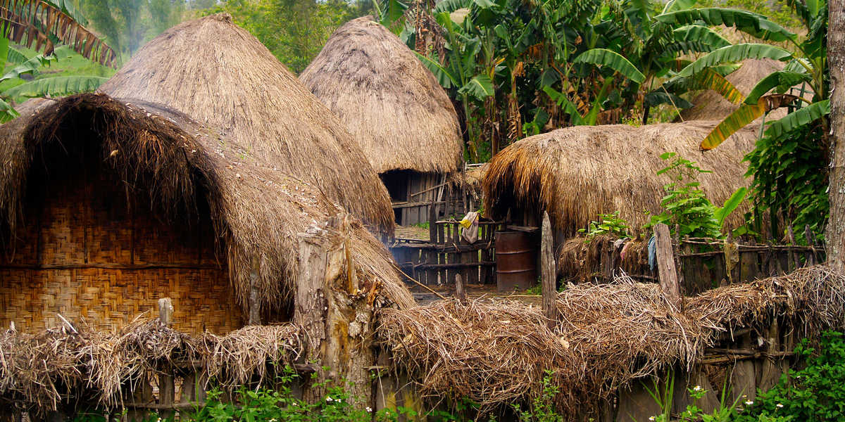 Honai, habitat traditionnel de Papouasie occidentale, Indonésie