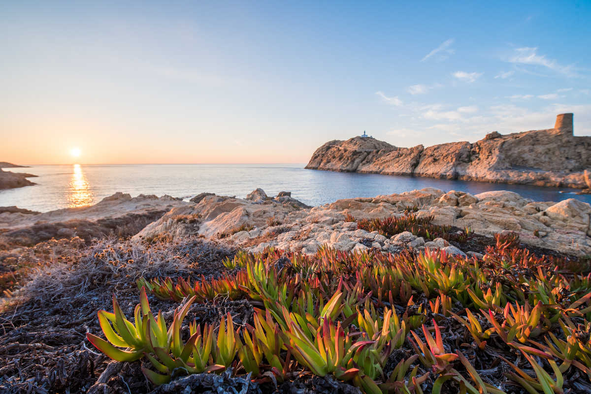 Ile Rousse en Corse