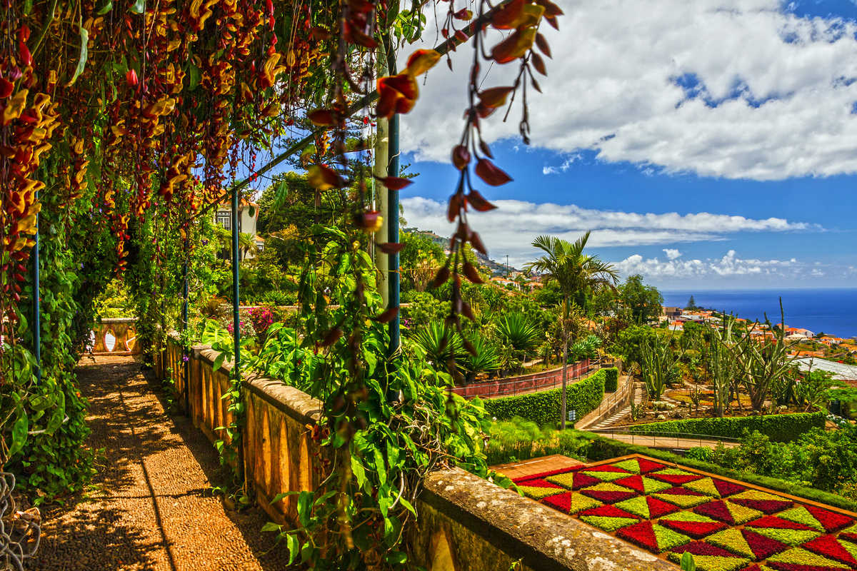 Jardin botanique, Funchal, Madère © Adobe Stock Jardin botanique, Funchal, Madère
