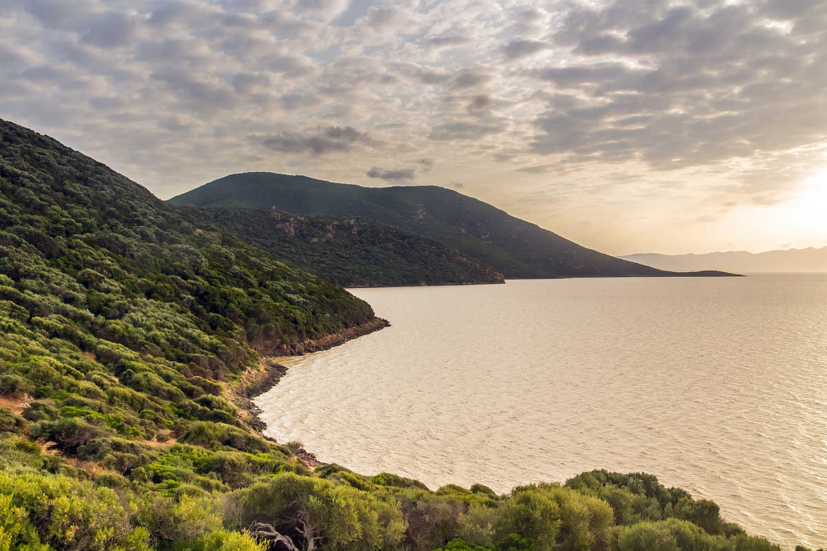 lac-ichkeul-paysage-naturel-nord-tunisie