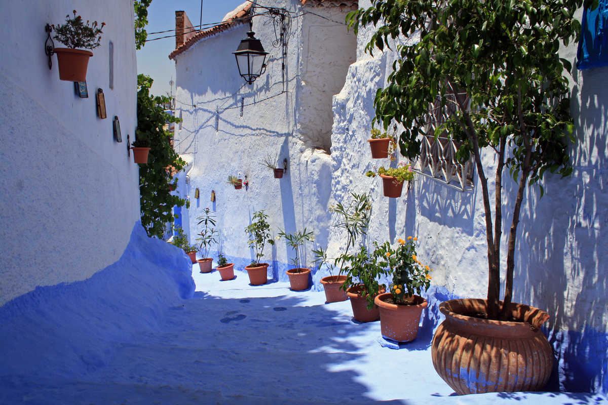 Medina de Tanger, Maroc © Adobe Stock Medina de Tanger, Maroc