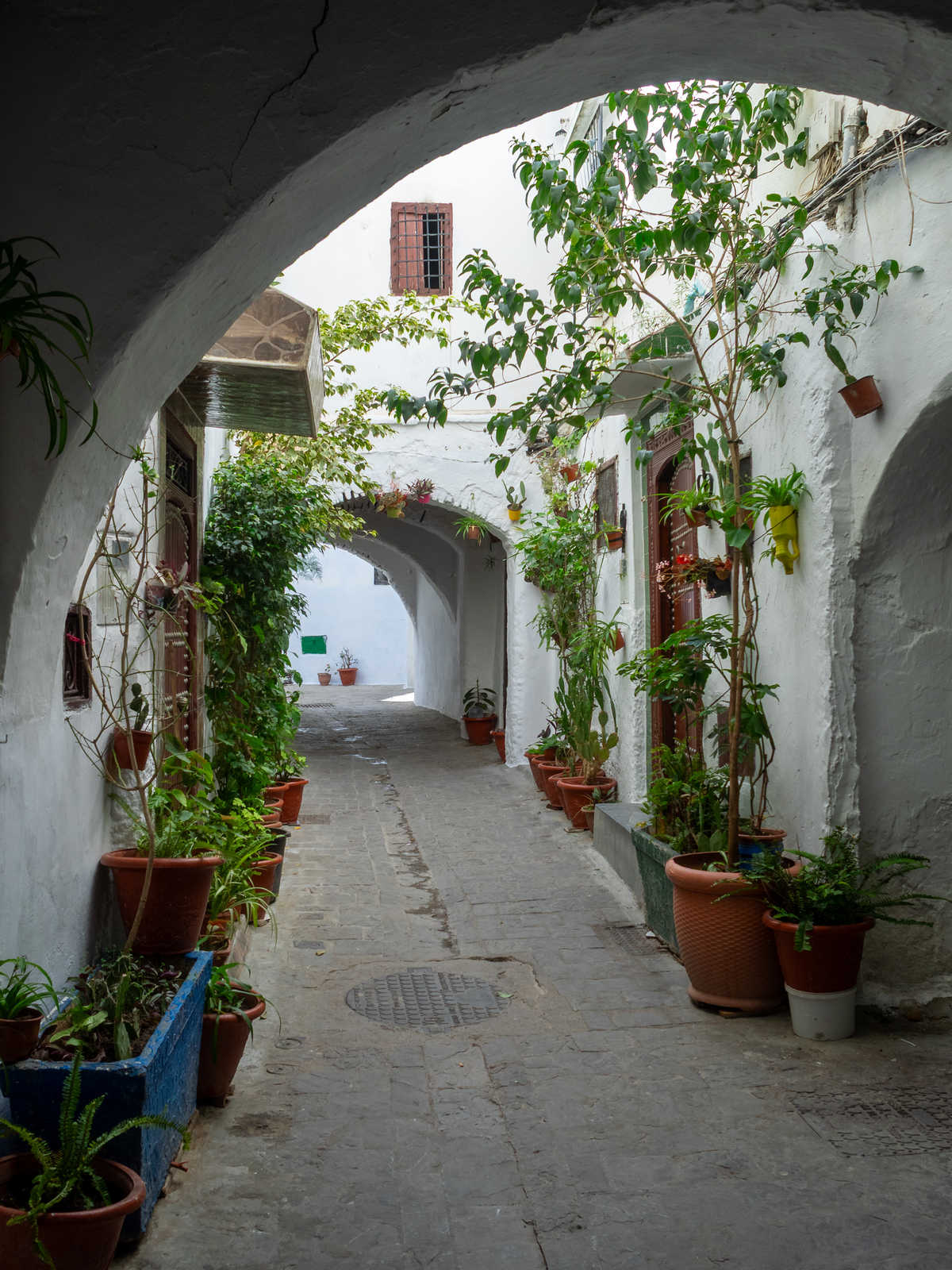 Medina de Tétouan, Maroc © Adobe Stock Medina de Tétouan, Maroc