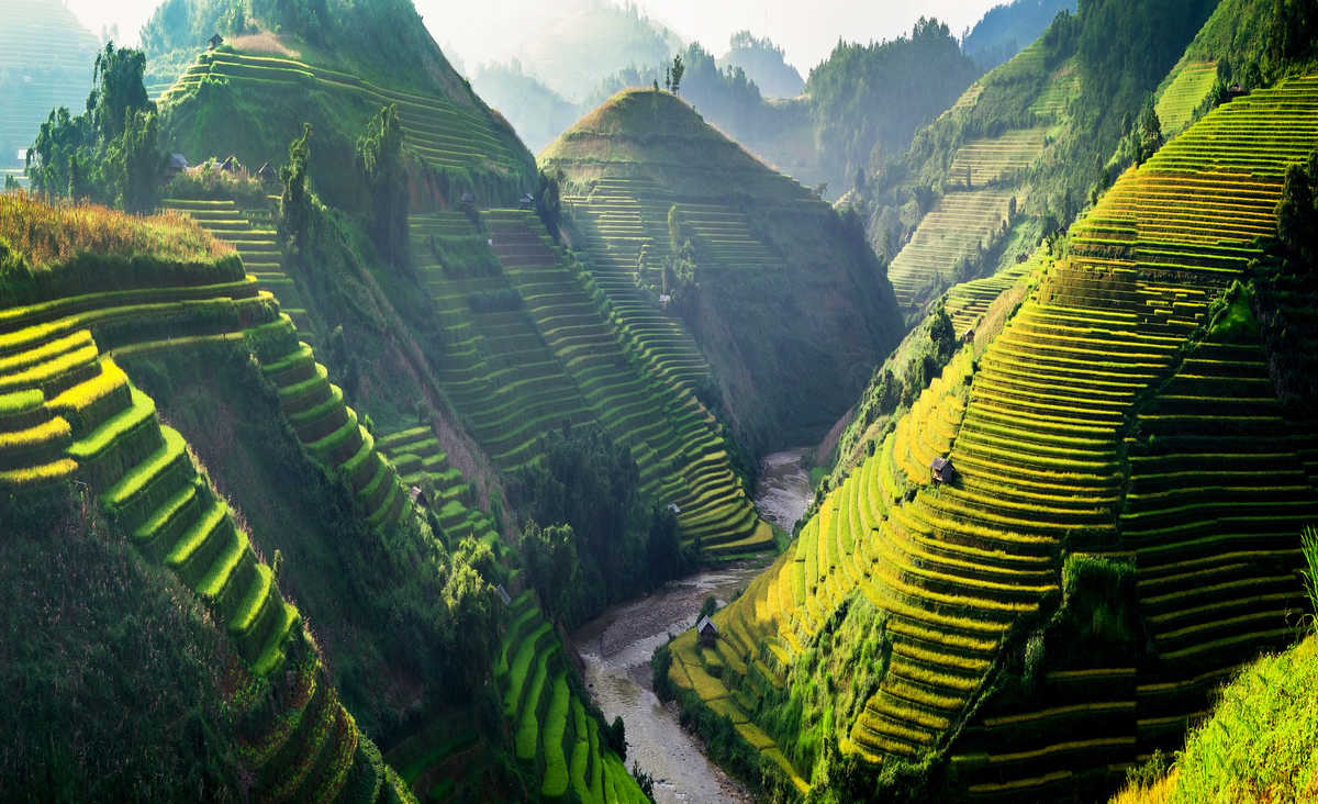 Montagnes de rizières au Vietnam