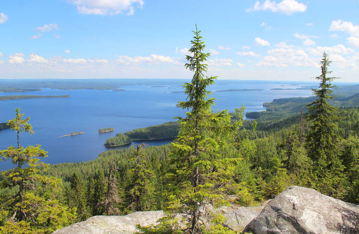 Parc national de Koli, Finlande