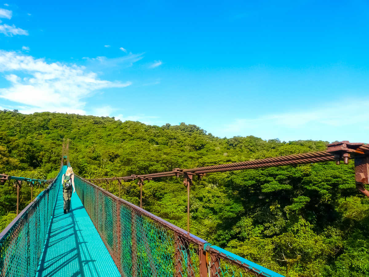 Parc National Monteverde Costa Rica, une personne est sur un pont suspendu au milieu de la jungle