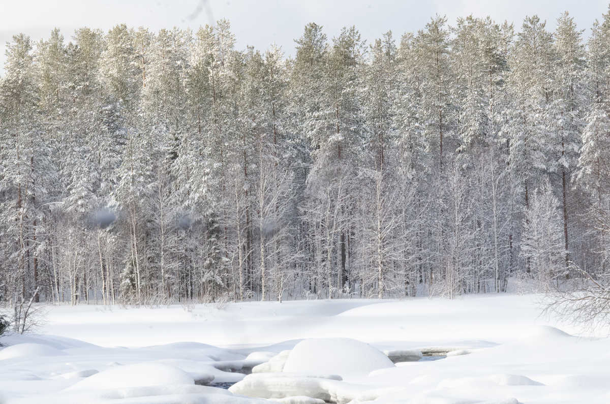 Paysage hivernal en Finlande