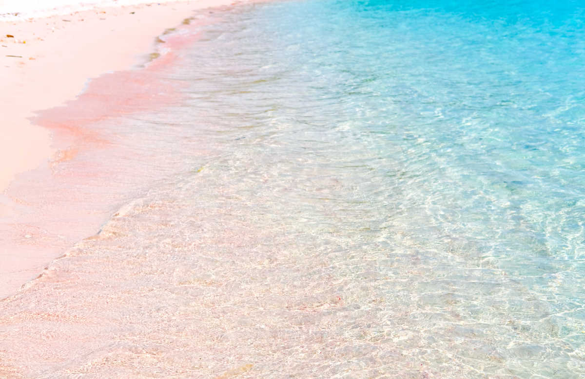 Pink Beach, plage rose des îles Komodo, Indonésie