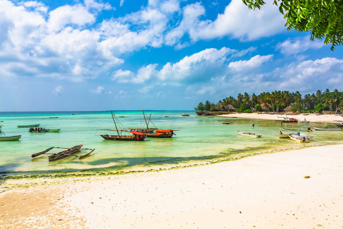 Plage de Kizimkazi, Zanzibar, Tanzanie