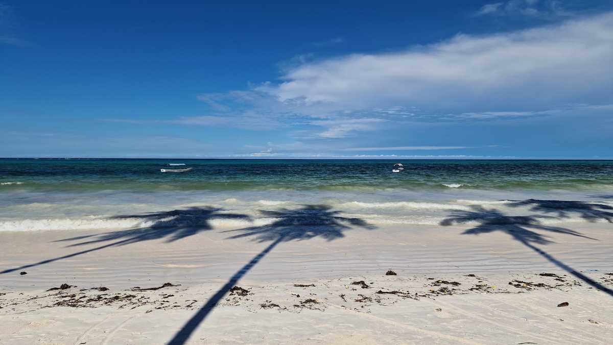 Plage de Matemwe, Zanzibar, Tanzanie
