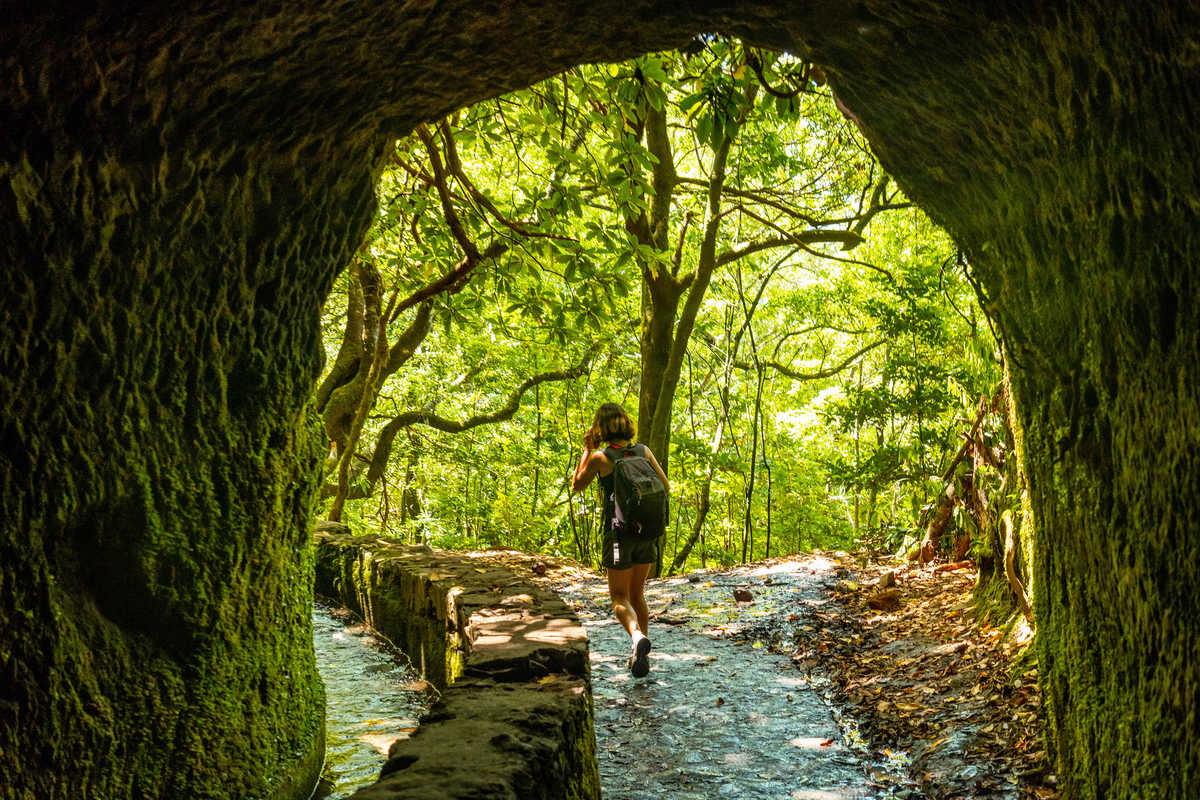 Randonnée à Levada do Caldeirao Verde, Madère © Adobe Stock Randonnée à Levada do Caldeirao Verde, Madère