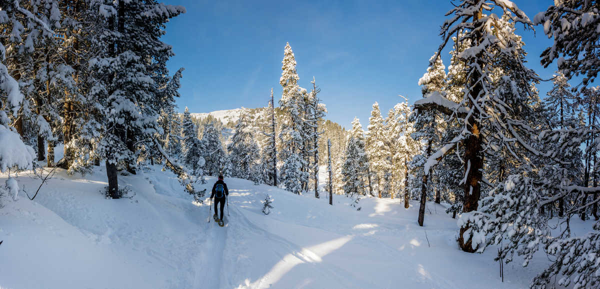 Randonneur en raquette par une journée ensoleillée en forêt enneigée