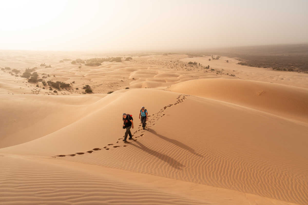 randonneurs dans le Sahara en Mauritanie