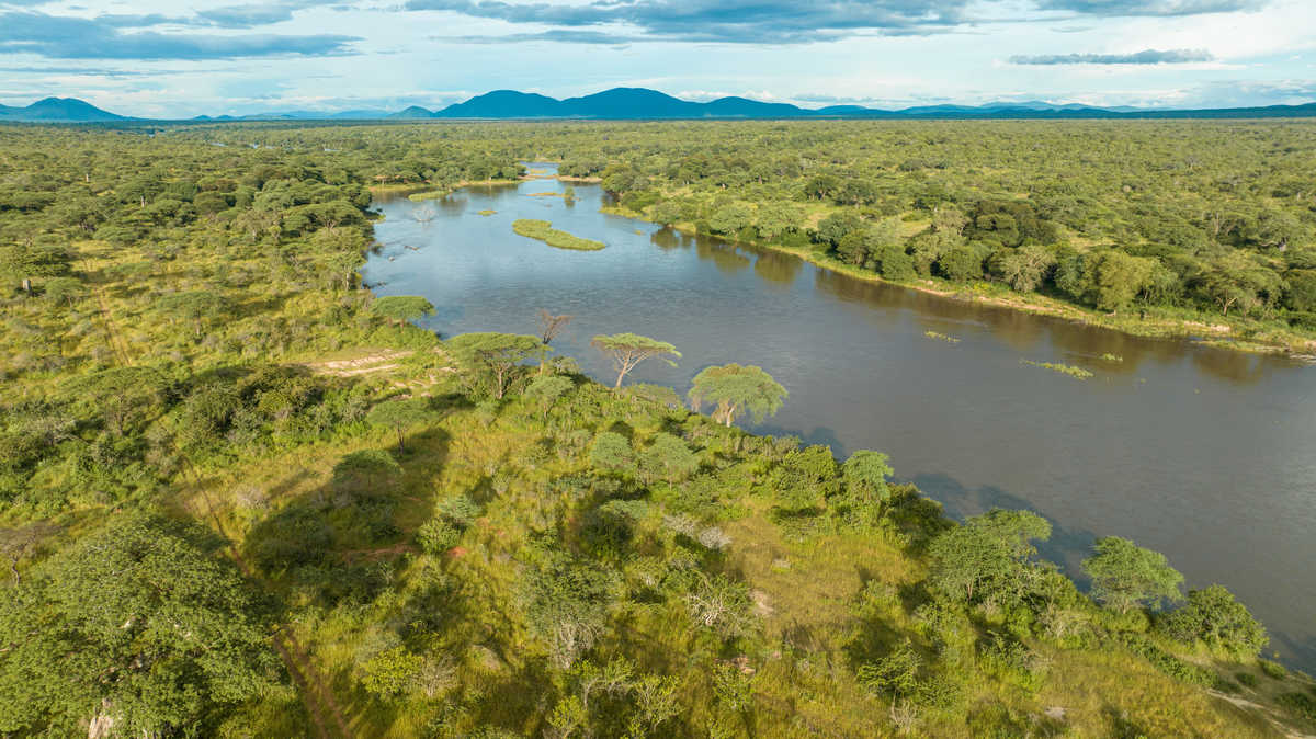 Rivière dans le Parc National de Nyere en Tanzanie