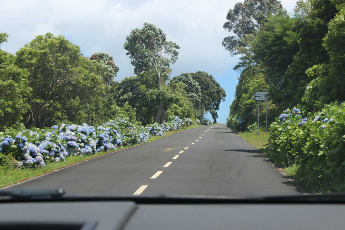 Road trip aux Açores, Faial