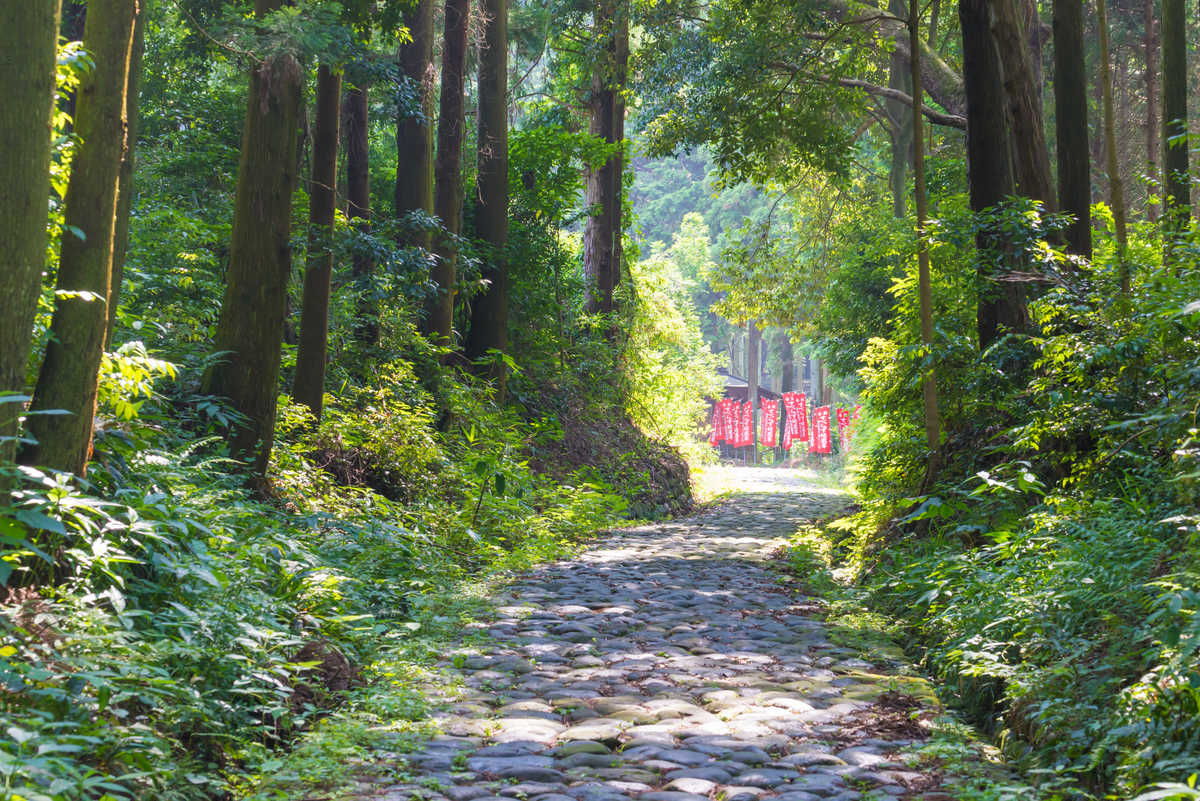 Sentier du Tokaido, Hakone, Japon © Adobe Stock Sentier du Tokaido, Hakone, Japon