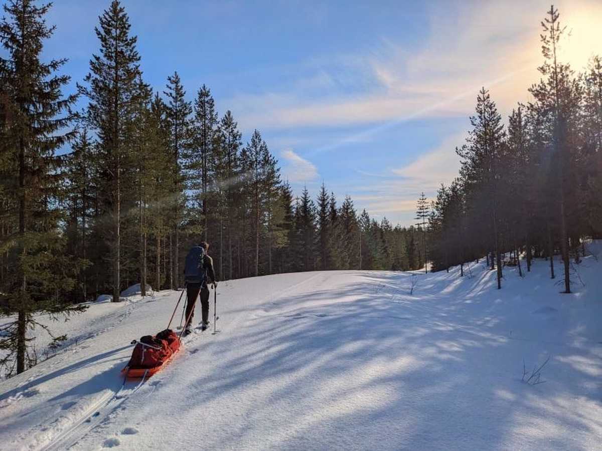 ski_de_randonnée_nordique_a_travers_la_forêt