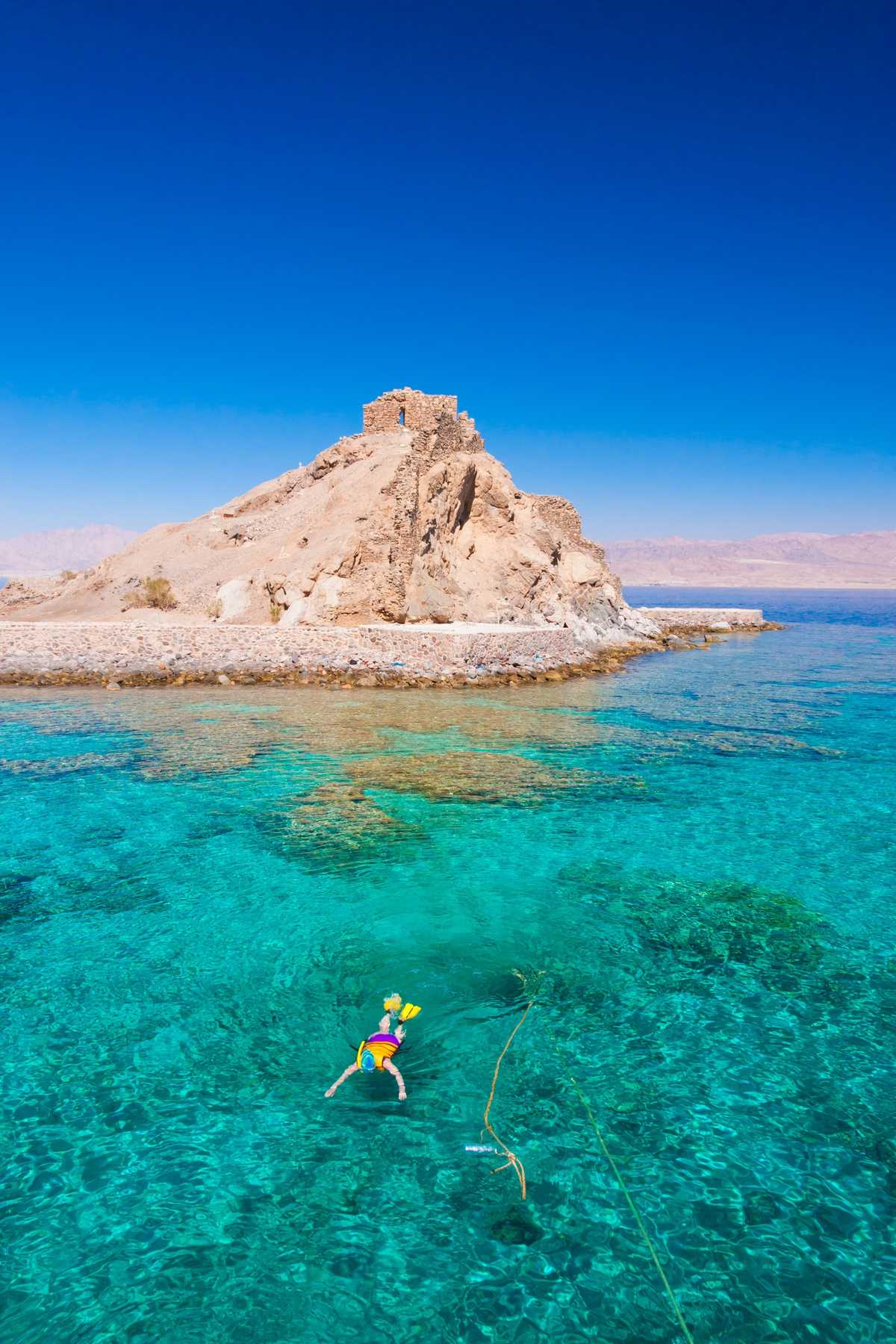 Snorkeling en mer rouge en Egypte