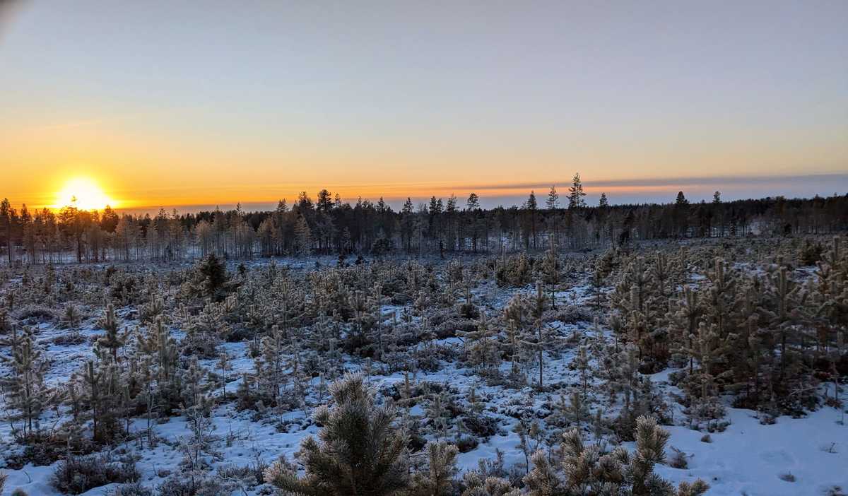 Soleil de minuit dans le parc d'Hossa en Finlande