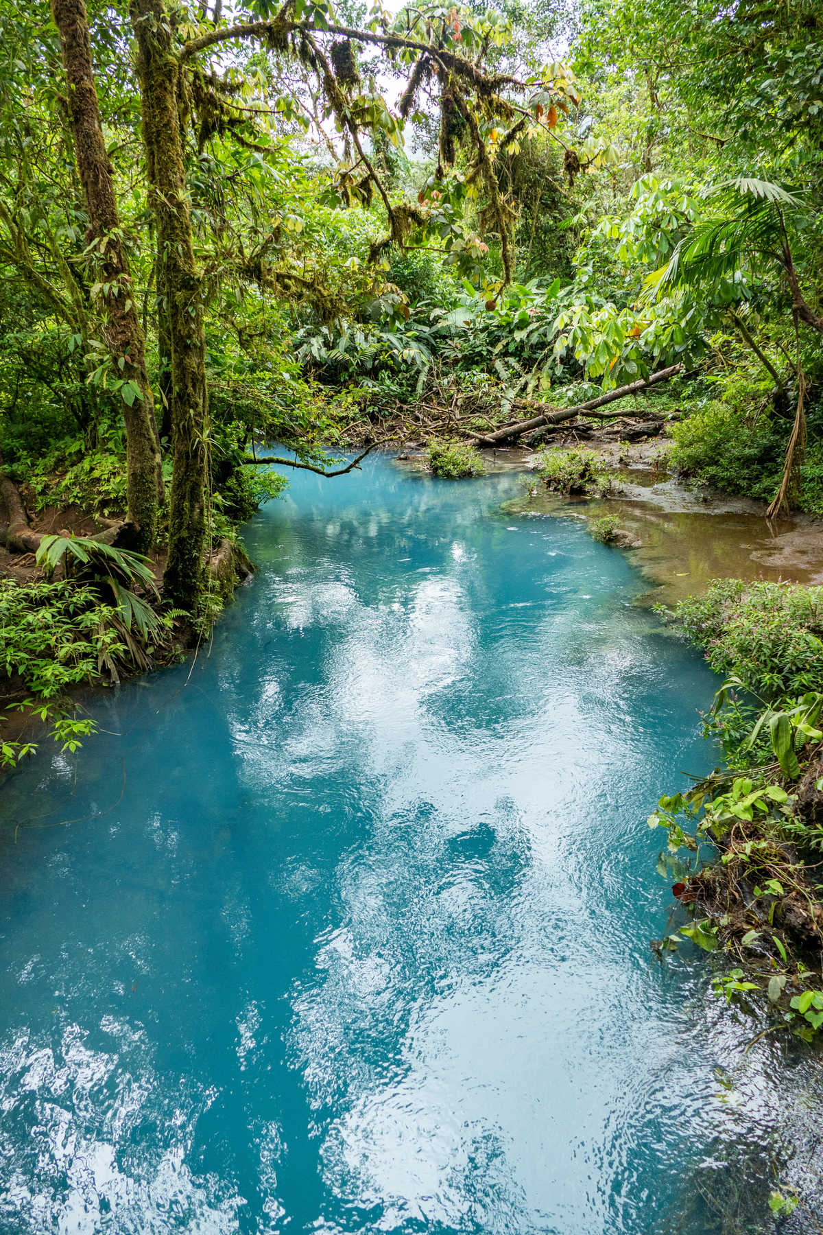 Sources chaudes dans le  Parc National du volcan Tenorio au Costa rica