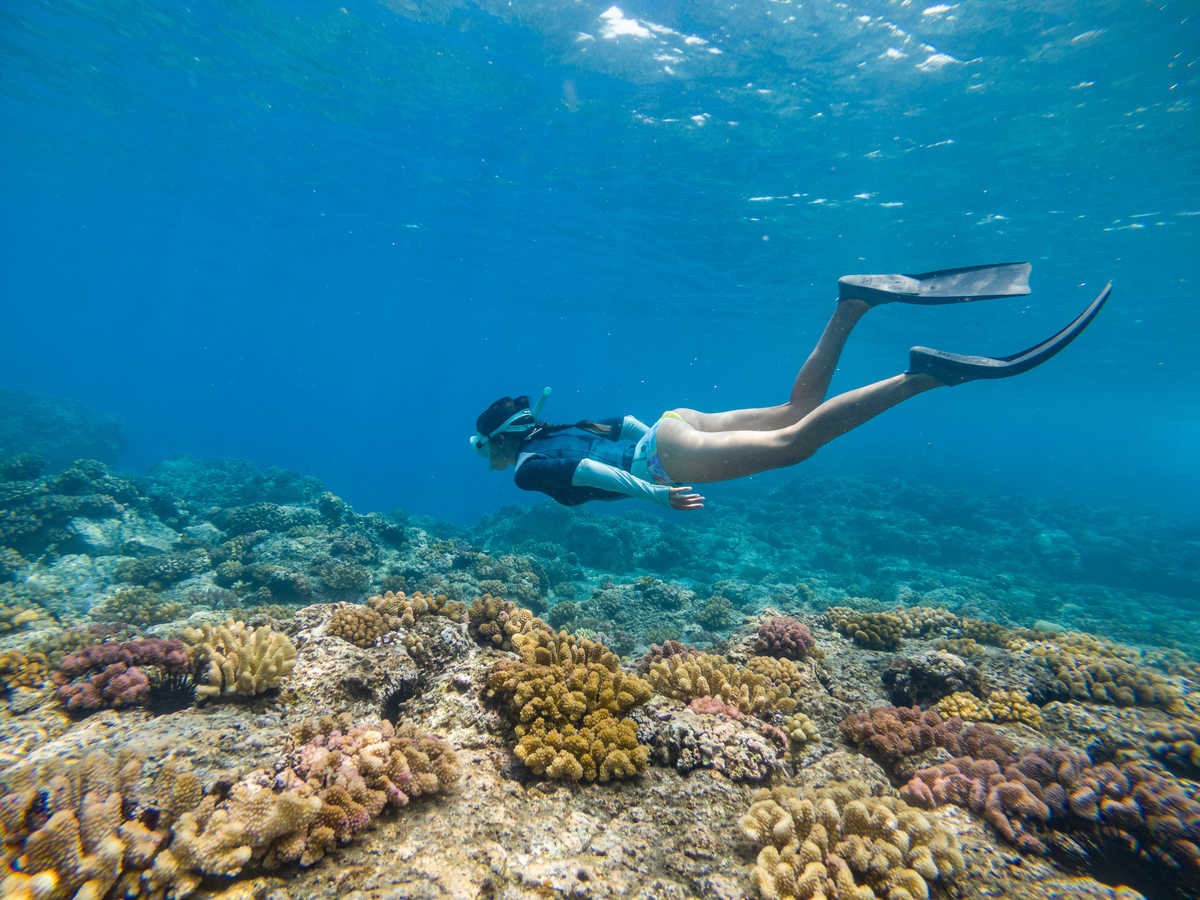 Touriste en plongée au-dessus d'un récif corallien, île de la Réunion, océan Indien