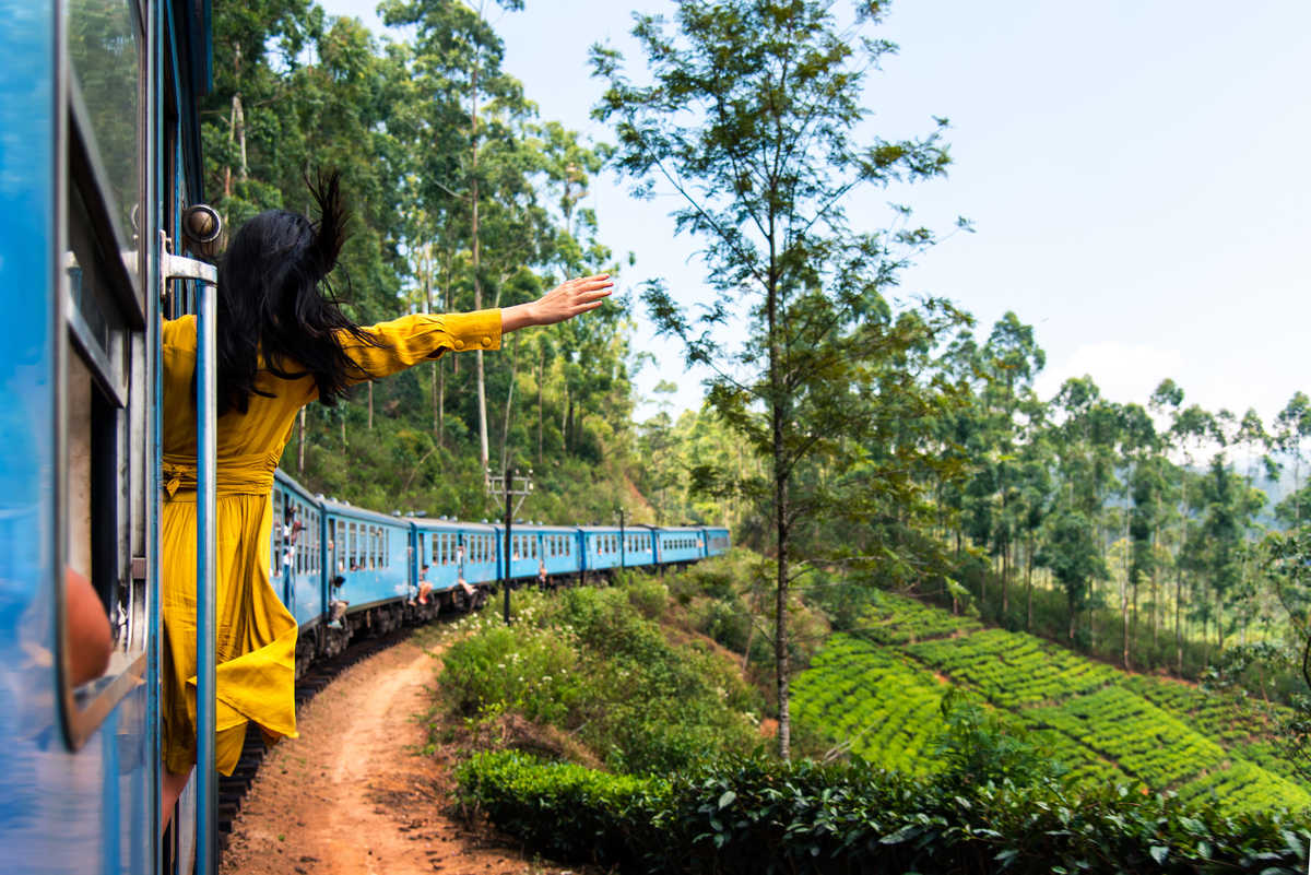Touriste profitant d'un voyage en train dans les plantations de thé du Sri Lanka