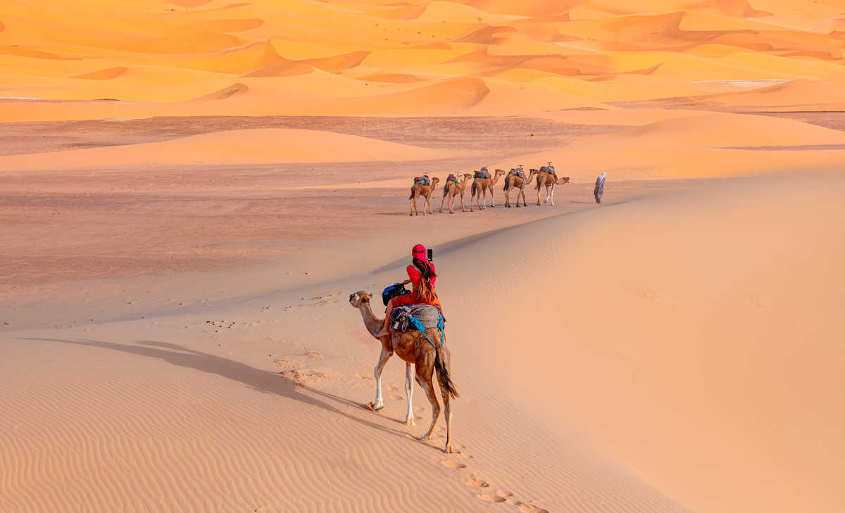 Touriste traversant à dos de chameau les dunes de sable du Sahara occidental, au Maroc.