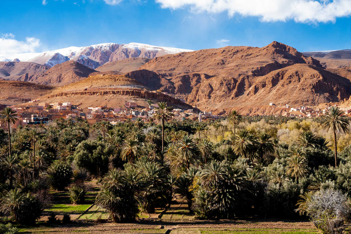 Vallée des roses au Maroc