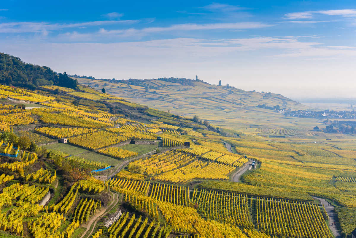 Vignobles du Château de Kaysersberg - Alsace en France