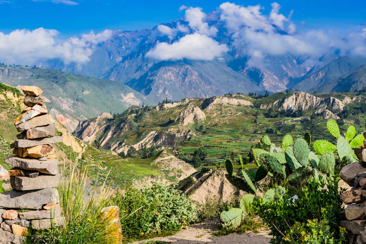 Vue du canyon de Colca Pérou