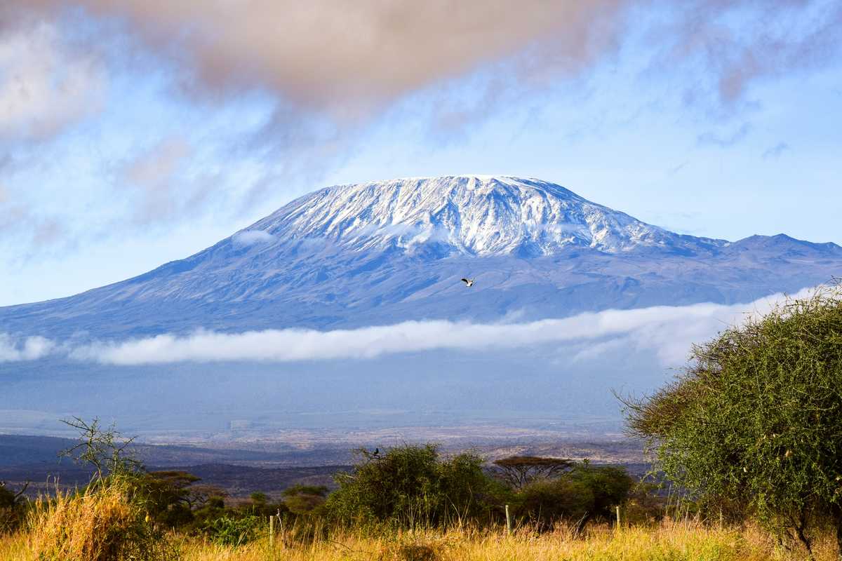 Vue sur le Kilimandajro depuis la savane en Tanzanie