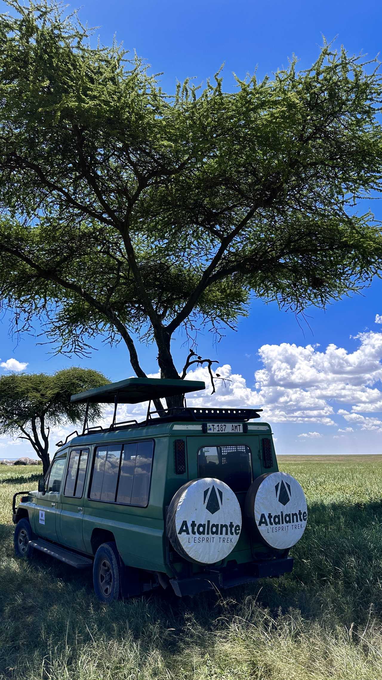 4x4 Atalante utilisé lors du safari