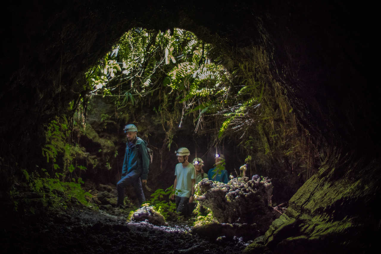 A l'entrée des tunnels de lave de la Réunion