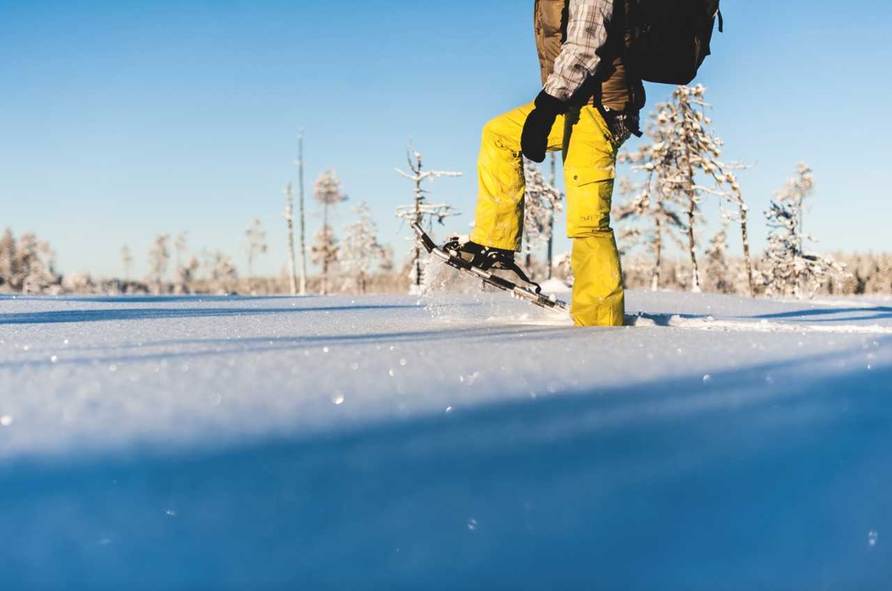 Activité raquettes en Laponie Suédoise