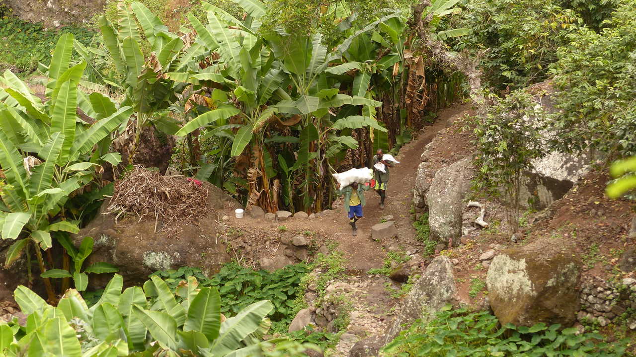Ambiances luxuriantes de Santo Antao