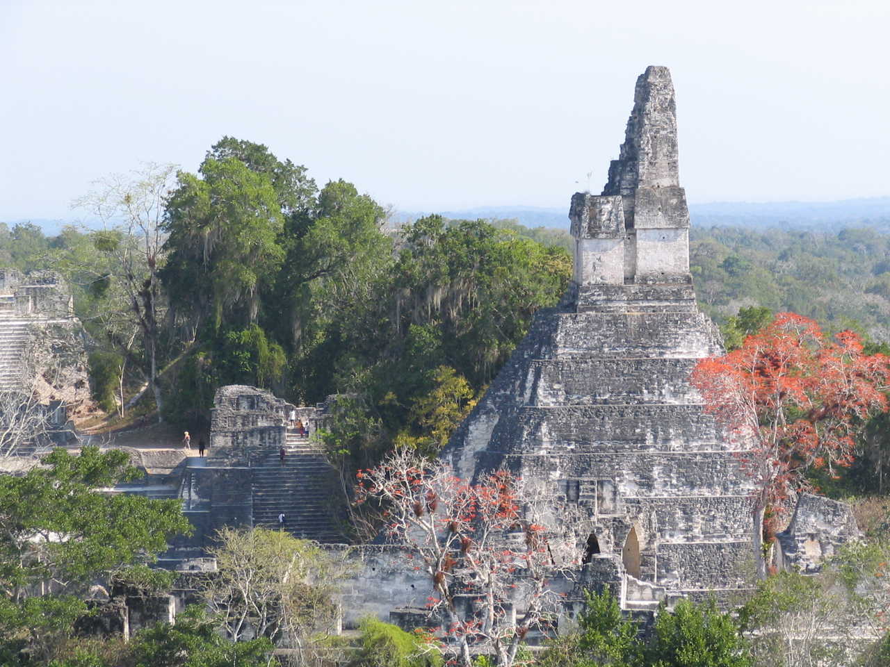 Ancienne citadelle maya Tikal au Guatemala