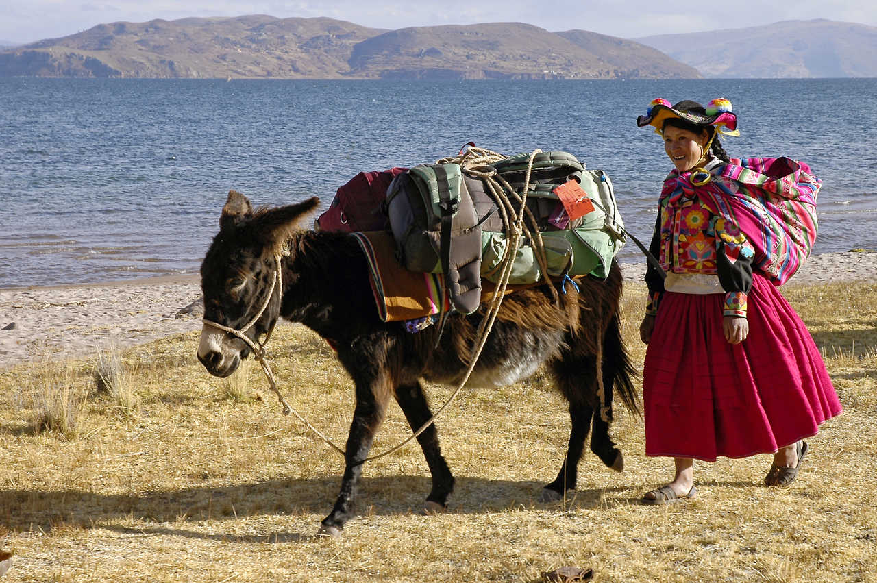 Âne et femme au bord du lac Titicaca
