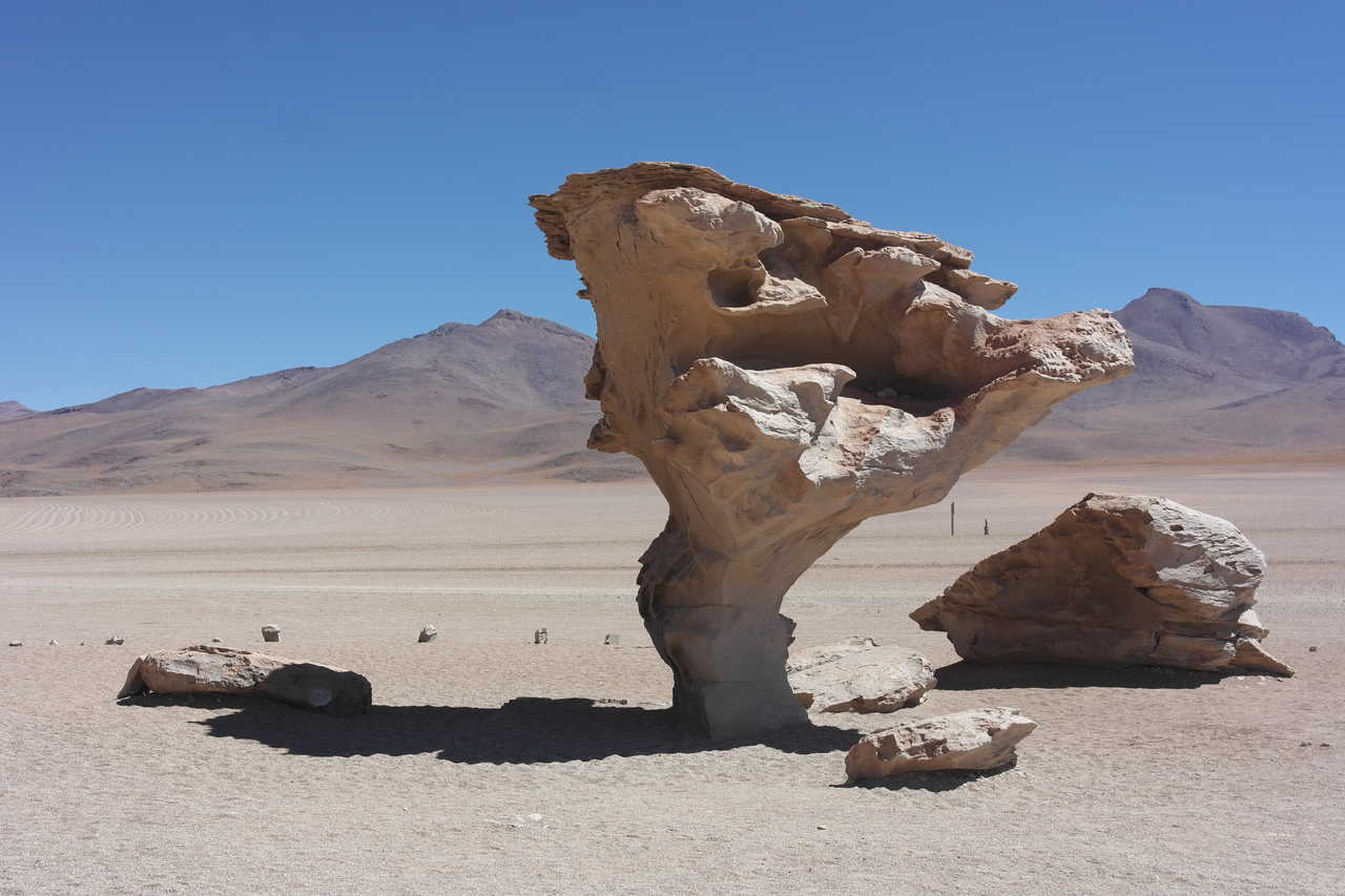 Arbre de pierre dans le sud Lipez